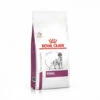 Croquettes Royal Canin Veterinary Diet Renal Pour Chiens Sac 2 Kg -Alimentation pour chien Soldes 11656488 1