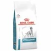 Croquettes Royal Canin Veterinary Diet Hypoallergenic Pour Chiens Sac 2 Kg 1 Croquettes Royal Canin Veterinary Diet Hypoallergenic Pour Chiens Sac 2 Kg -Alimentation pour chien Soldes 11656553 1
