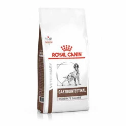 Croquettes Royal Canin Veterinary Diet Gastro Intestinal Moderate Calorie Pour Chiens Sac 2 Kg