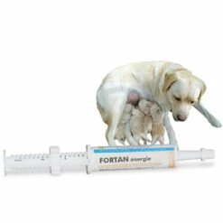 ORIANE Fortan énergie Colostrum Complément Lacté Pour Chiot Et Chaton Tube Doseur 15 Ml