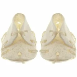 FERRIBIELLA Os Blanc Pour Chiens 100% Naturel En Forme De Chaussure 4 Pcs Par 6 Cm -Alimentation pour chien Soldes 23832801 2