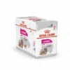 Mousse Royal Canin Exigent Pour Chien - 12 Sachets Fraîcheur 85 G -Alimentation pour chien Soldes 24995582 1