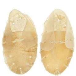 FERRIBIELLA Chaussure En Cuir De Vachette Avec Petit Os 100% Naturel 40 G