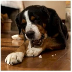 DEMAVIC Anti Tartre Prozym Stick Rf2 L Sch 12