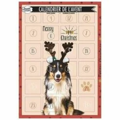 CHADOG Calendrier De L'avent Doogy Deref A Epuis Remplacer Par O0645 Pour 2021
