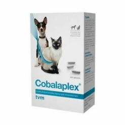 Cobalaplex TVM Supplémentation Vitamines B12 Et B9 Boite 60 Gélules