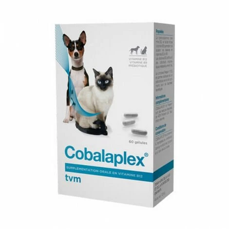 Cobalaplex TVM Supplémentation Vitamines B12 Et B9 Boite 60 Gélules 3 Cobalaplex TVM Supplémentation Vitamines B12 Et B9 Boite 60 Gélules