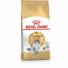 ROYAL CANIN NORWEGIAN FOREST CAT ADULT CROQUETTE POUR CHAT 2 KG ADULTE VOLAILLE (3182550825399)