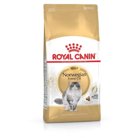 ROYAL CANIN NORWEGIAN FOREST CAT ADULT CROQUETTE POUR CHAT 2 KG ADULTE VOLAILLE (3182550825399) 4 ROYAL CANIN NORWEGIAN FOREST CAT ADULT CROQUETTE POUR CHAT 2 KG ADULTE VOLAILLE (3182550825399) – Image 2