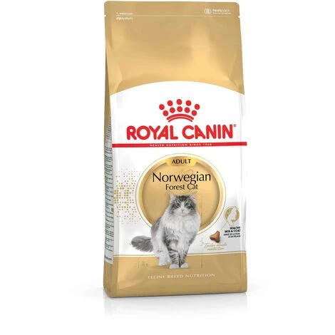 ROYAL CANIN NORWEGIAN FOREST CAT ADULT CROQUETTE POUR CHAT 2 KG ADULTE VOLAILLE (3182550825399) 5 ROYAL CANIN NORWEGIAN FOREST CAT ADULT CROQUETTE POUR CHAT 2 KG ADULTE VOLAILLE (3182550825399) – Image 3