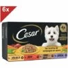 CESAR 24 Barquettes En Sauce 4 Variétés Pour Chien 150g (6x4) 1 CESAR 24 Barquettes En Sauce 4 Variétés Pour Chien 150g (6x4) -Alimentation pour chien Soldes 40983093 1