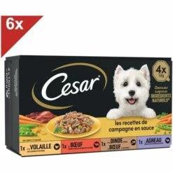 CESAR 24 Barquettes En Sauce 4 Variétés Pour Chien 150g (6x4)