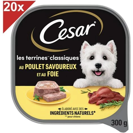 CESAR Barquette Poulet En Terrine Pour Chien (20x300g) 3 CESAR Barquette Poulet En Terrine Pour Chien (20x300g)