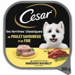 CESAR Barquette Poulet En Terrine Pour Chien (20x300g) 11 CESAR Barquette Poulet En Terrine Pour Chien (20x300g) -Alimentation pour chien Soldes 41862793 5