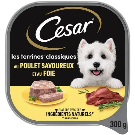 CESAR Barquette Poulet En Terrine Pour Chien (20x300g) 7 CESAR Barquette Poulet En Terrine Pour Chien (20x300g) – Image 5