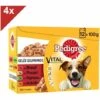 PEDIGREE 48 Sachets Fraîcheur En Gelée 4 Variétés Pour Chien 100g (4x12) -Alimentation pour chien Soldes 41868991 1