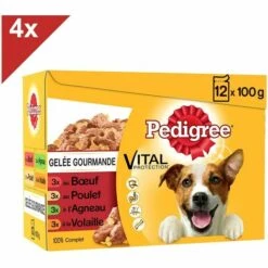 PEDIGREE 48 Sachets Fraîcheur En Gelée 4 Variétés Pour Chien 100g (4x12)
