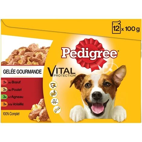 PEDIGREE 48 Sachets Fraîcheur En Gelée 4 Variétés Pour Chien 100g (4x12) 5 PEDIGREE 48 Sachets Fraîcheur En Gelée 4 Variétés Pour Chien 100g (4x12) – Image 3