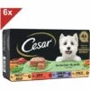 CESAR 24 Barquettes En Terrine 4 Variétés Pour Chien 150g (6x4) -Alimentation pour chien Soldes 42191477 1