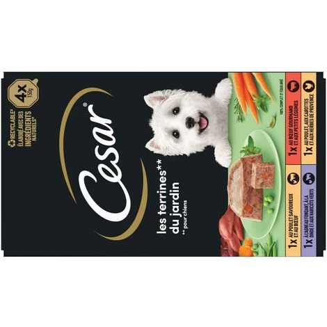 CESAR 24 Barquettes En Terrine 4 Variétés Pour Chien 150g (6x4) 7 CESAR 24 Barquettes En Terrine 4 Variétés Pour Chien 150g (6x4) – Image 5