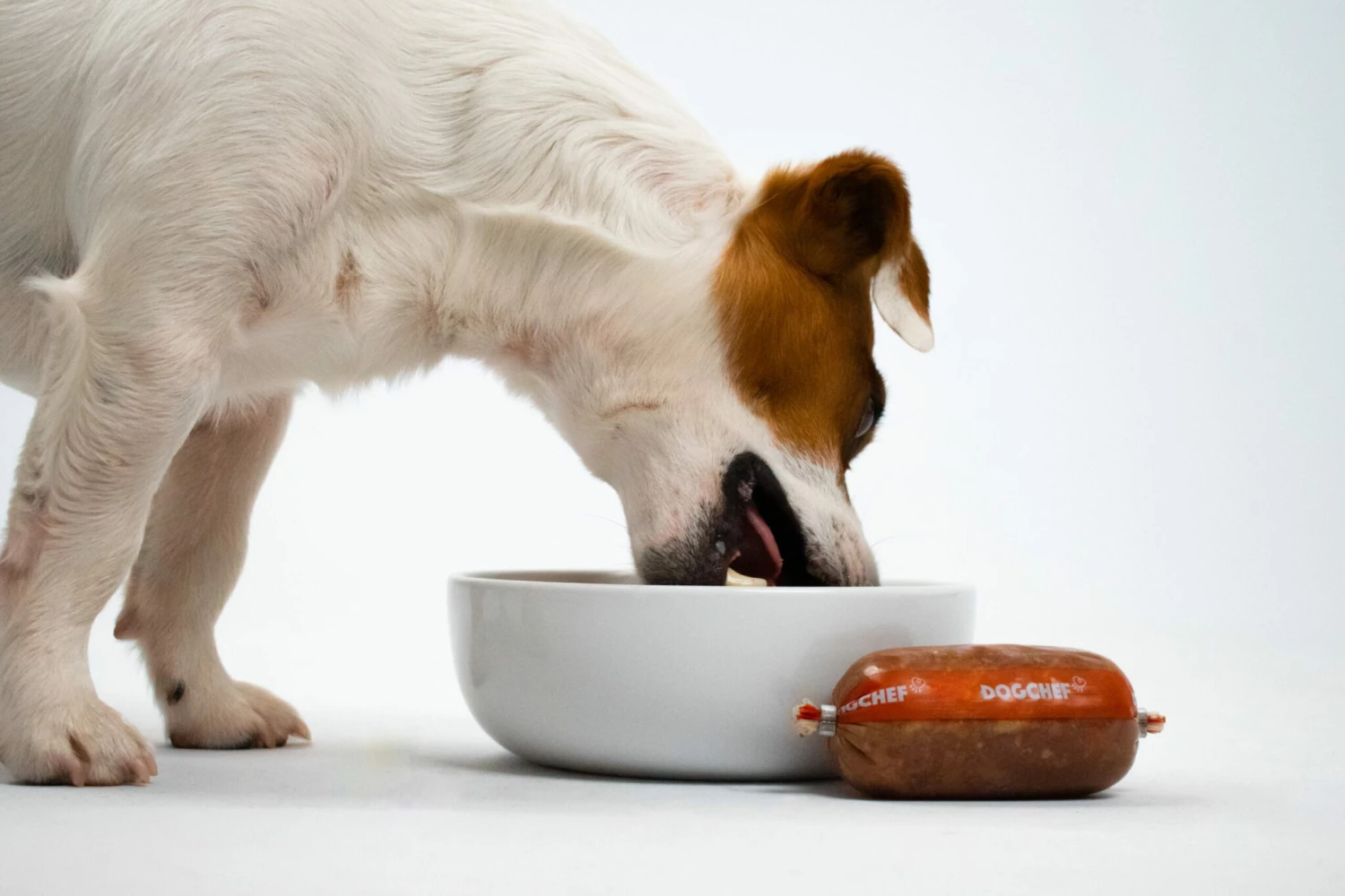 Alimentation pour chien Soldes -Alimentation pour chien Soldes 5