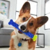 SHOPSTORY CHEWBRUSH : L'Os à Mâcher Anti-Tartre Pour Chien -Alimentation pour chien Soldes 51500498 1