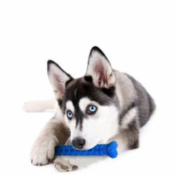 SHOPSTORY CHEWBRUSH : L'Os à Mâcher Anti-Tartre Pour Chien -Alimentation pour chien Soldes 51500498 5