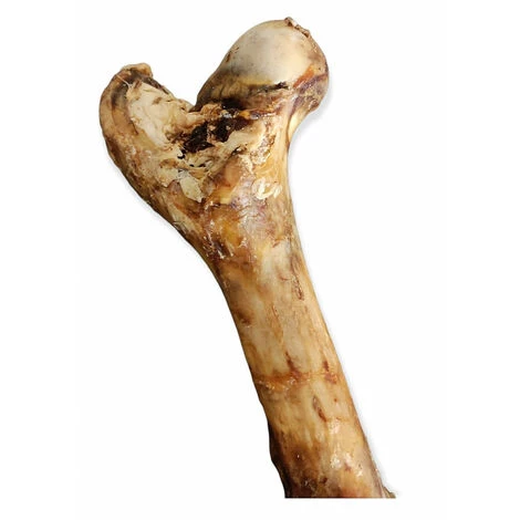 Os De Bœuf Fumé XXL 45 Cm Pour Chien - Animallparadise 4 Os De Bœuf Fumé XXL 45 Cm Pour Chien - Animallparadise – Image 2