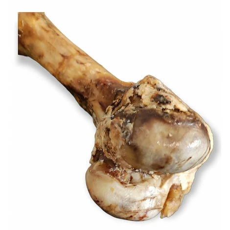 Os De Bœuf Fumé XXL 45 Cm Pour Chien - Animallparadise 5 Os De Bœuf Fumé XXL 45 Cm Pour Chien - Animallparadise – Image 3