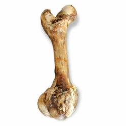 Os De Bœuf Fumé XXL 45 Cm Pour Chien - Animallparadise 9 Os De Bœuf Fumé XXL 45 Cm Pour Chien - Animallparadise -Alimentation pour chien Soldes 51739902 4