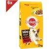 PEDIGREE Mini Croquettes Au Bœuf Pour Petit Chien Adulte (<10kg) 6x2kg -Alimentation pour chien Soldes 51906103 1