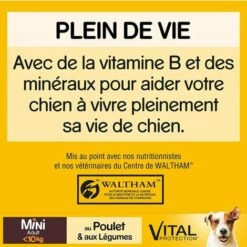 PEDIGREE Mini Croquettes Au Poulet Pour Petit Chien Adulte(<10kg) 6x2kg -Alimentation pour chien Soldes 51906108 4