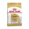 Nourriture Que Royal Canin Chihuahua Adulte Chiens Chihuahua Adultes Et Matures (š Partir De 8 Mois) - 500g -Alimentation pour chien Soldes 55418170 1