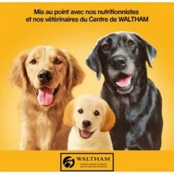 PEDIGREE 12 Boîtes En Terrine Pâtée Pour Chien 3 Variétés 410g (2x6) 11 PEDIGREE 12 Boîtes En Terrine Pâtée Pour Chien 3 Variétés 410g (2x6) -Alimentation pour chien Soldes 56374252 5