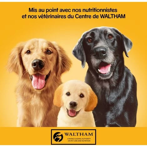 PEDIGREE 12 Boîtes En Terrine Pâtée Pour Chien 3 Variétés 410g (2x6) 7 PEDIGREE 12 Boîtes En Terrine Pâtée Pour Chien 3 Variétés 410g (2x6) – Image 5