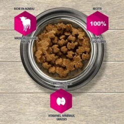 Eukanuba - Croquette Pour Chien Adult Grande Race - Agneau & Riz -Alimentation pour chien Soldes 59309481 3