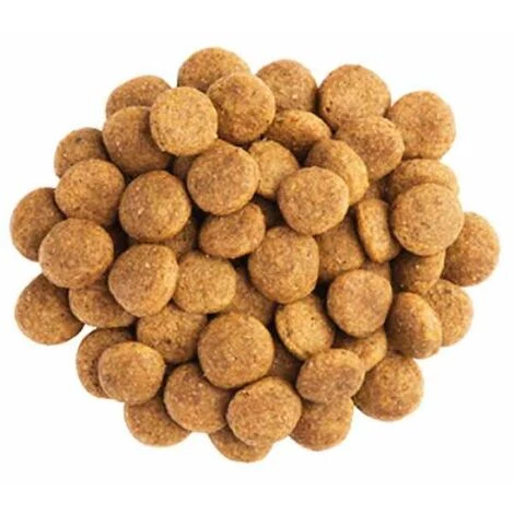 PURINA VETERINARY DIETS PURINA Pro Plan - Veterinary Diets - Croquette Pour Chien Neurocare 4 PURINA VETERINARY DIETS PURINA Pro Plan - Veterinary Diets - Croquette Pour Chien Neurocare – Image 2