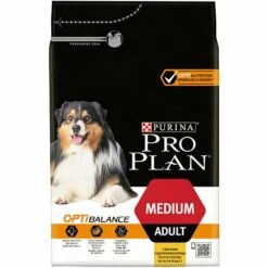 Croquette Purina Proplan Pour Chien Adult Medium - Poulet