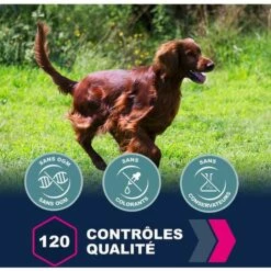 Eukanuba - Croquette Pour Chien Adult Medium Poulet -Alimentation pour chien Soldes 59689500 4