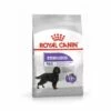 ROYAL CANIN Croquette RoyalCanin - Pour Chien Maxi Sterilised 12kg 1 ROYAL CANIN Croquette RoyalCanin - Pour Chien Maxi Sterilised 12kg -Alimentation pour chien Soldes 60139819 1
