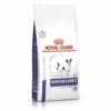 Croquettes Royal Canin Veterinary Care Neutered Adulte Small Dog Weight & Dental Sac 1,5 Kg -Alimentation pour chien Soldes 8898190 1