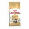 Croquettes Royal Canin Maine Coon Adult Chat à Partir De 15 Mois Sac 4 Kg -Alimentation pour chien Soldes 8898970 1