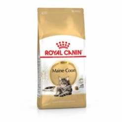 Croquettes Royal Canin Maine Coon Adult Chat à Partir De 15 Mois Sac 4 Kg