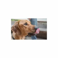 BUBIMEX Filet De Poulet Fitness - 100g -Alimentation pour chien Soldes 9426553 3